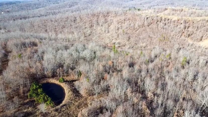 42+/- AC with Water, Pasture, and Privacy For Sale in Carter Co.