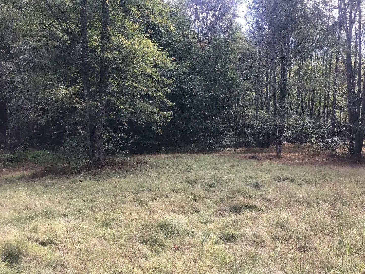 91 Acres of Land for Sale in Morehead, KY - Morehead, Kentucky, 40351