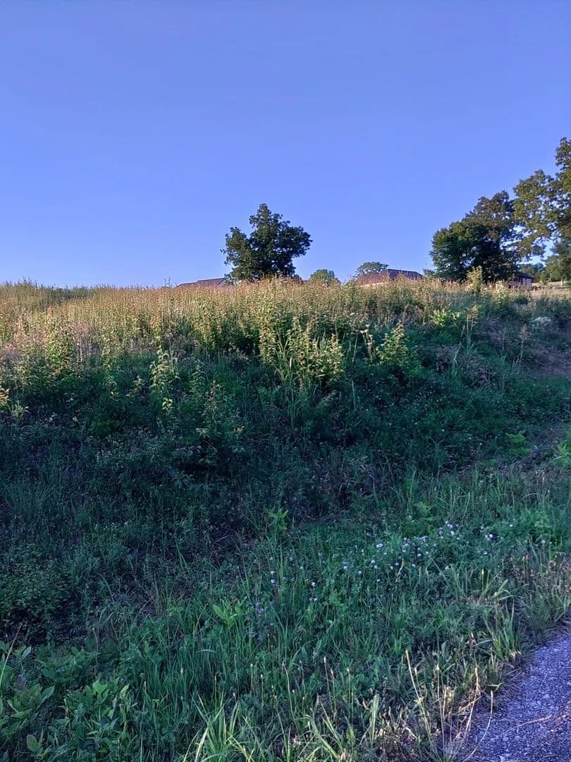 0.69 Acres of Land for Sale in Mc Minnville, Tennessee - Mc Minnville, Tennessee, 37110