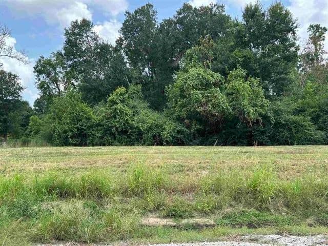 Land -Agricultural (Not Zoned) in Lake Charles - Lake Charles, Louisiana, 70607