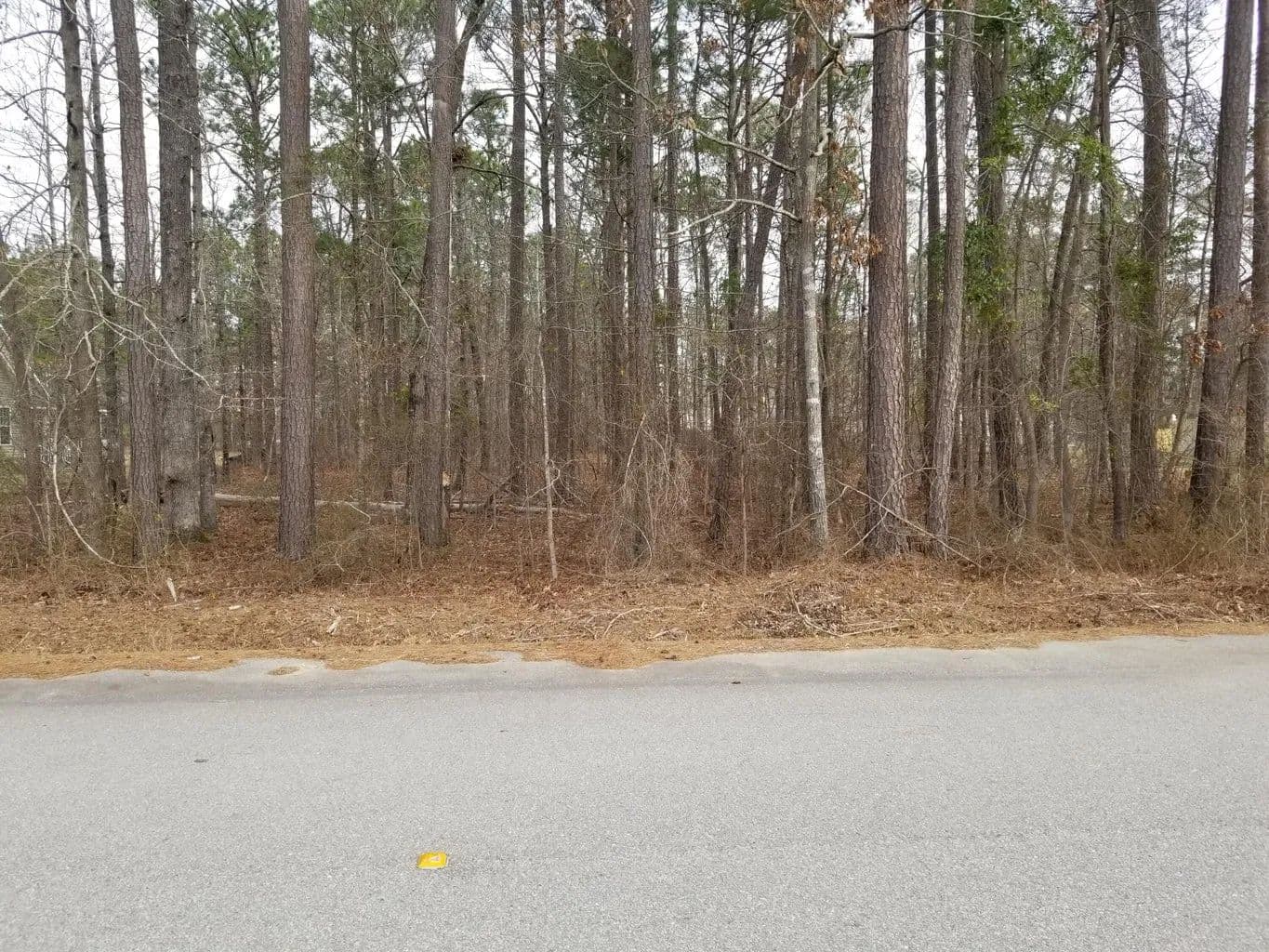 Vacant Land in Elloree - land for sale