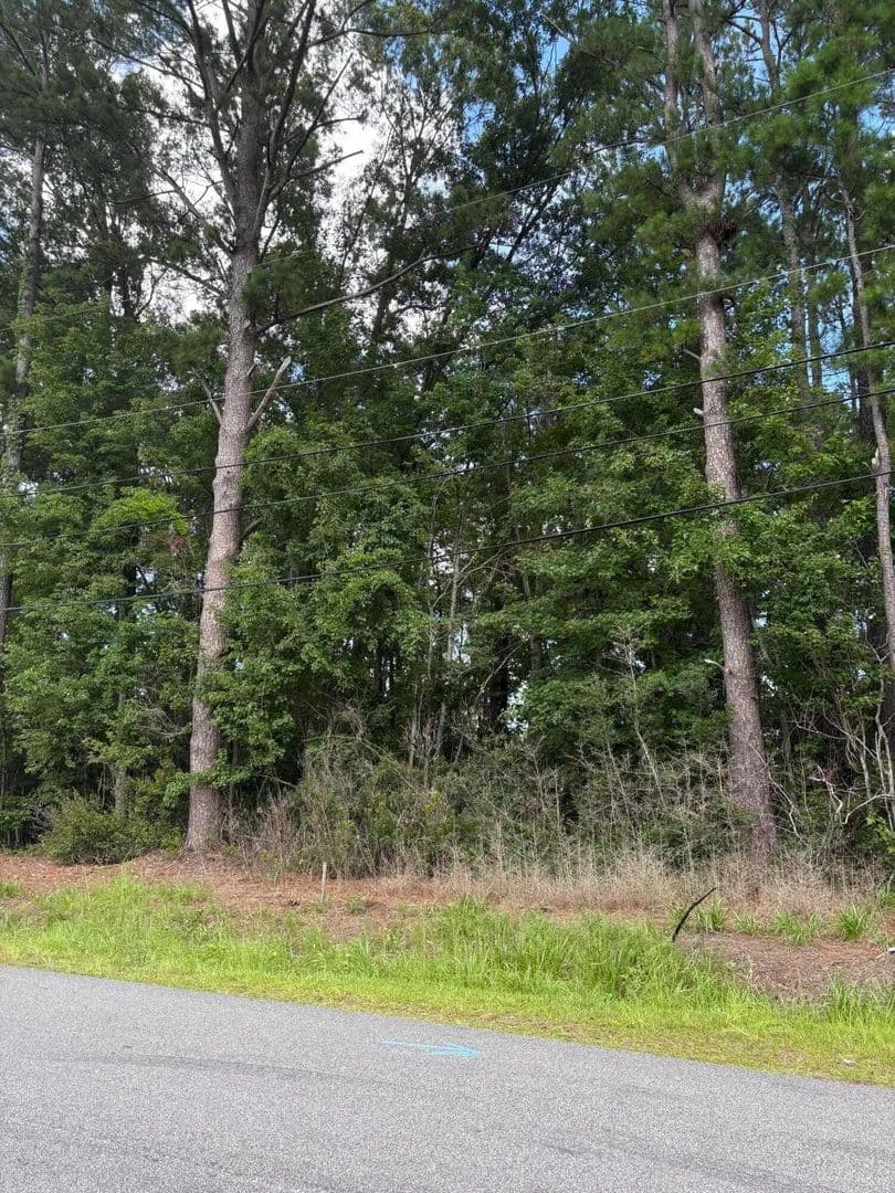 Vacant Land in North Charleston - North Charleston, South Carolina, 29418