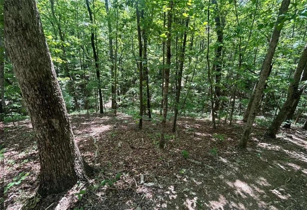 Property from 0 Fouts Mill Rd - KW - Douglasville, Georgia, 30135