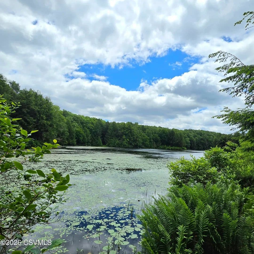 1.17 Acres of Land for Sale in Muncy Valley, PA - Muncy Valley, Pennsylvania, 17758