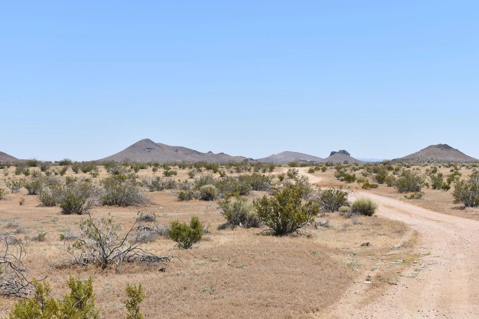 Lots & Land-Other in Mojave - Mojave, California, 93501