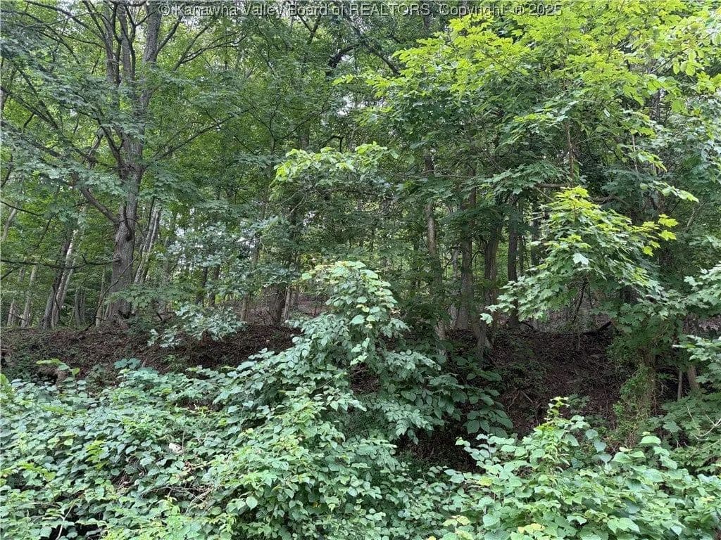 Lots & Land-Other in St Albans - West Virginia, 25177