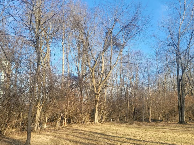 Lots & Land-Other in Mount Gilead