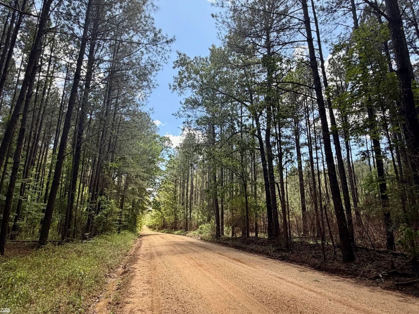 Bienville National Forest Camping and Homesite Tract #3 - Lake, Mississippi, 39092