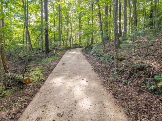 Lots & Land-Other in Ellijay - Ellijay, Georgia, 30540