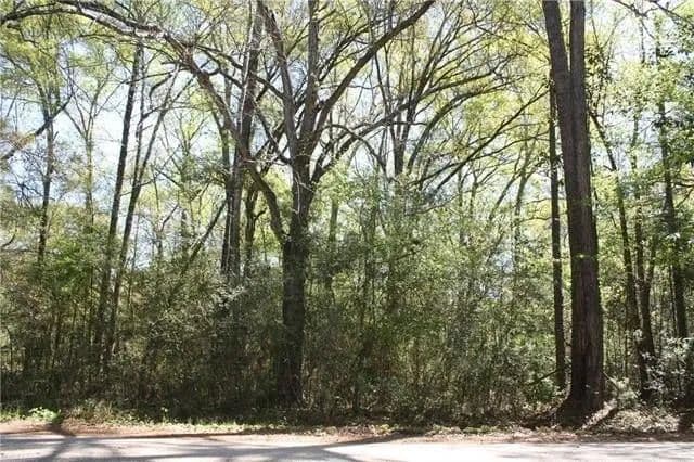 Lots & Land-Other in Abita Springs - Abita Springs, Louisiana, 70420