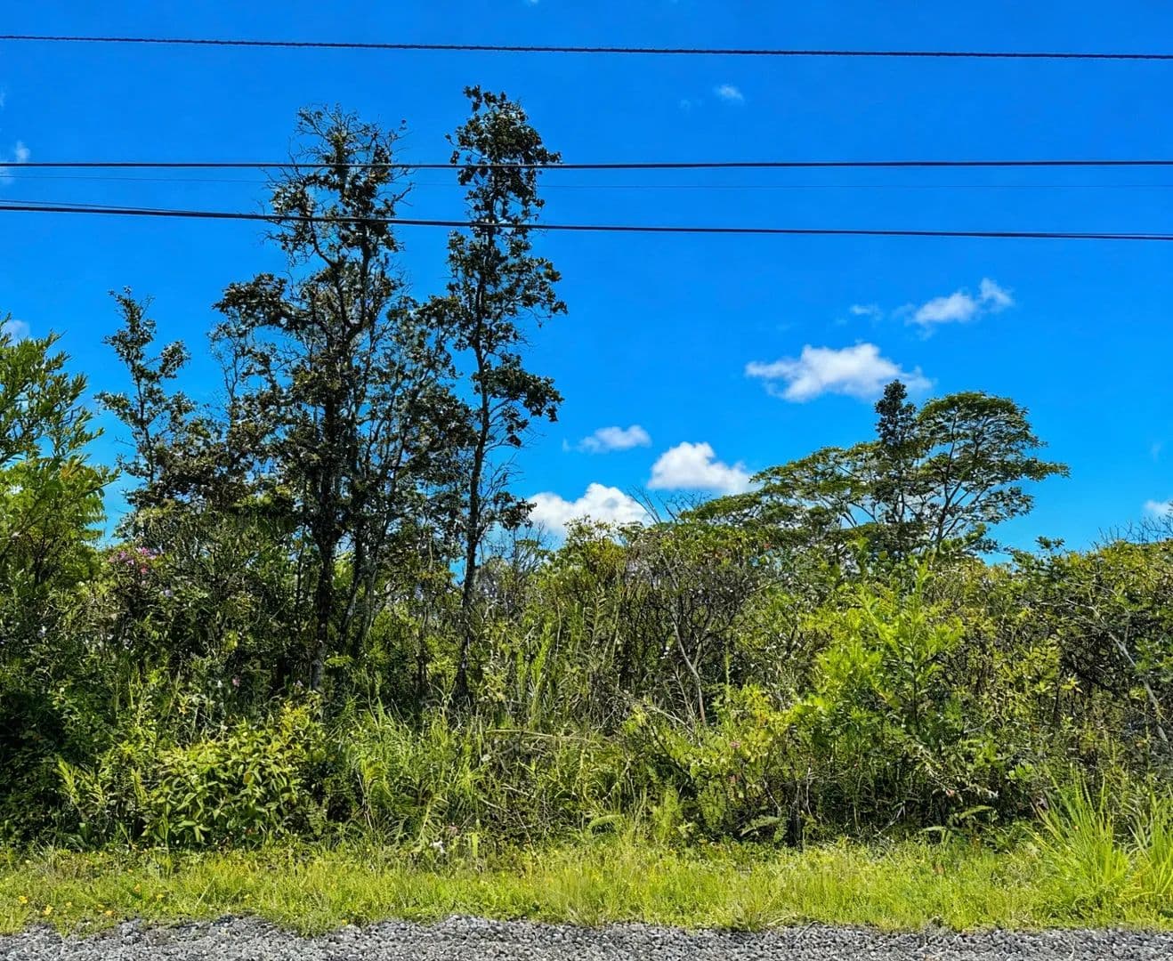 1 Acre of Land for Sale in Keaau, HI - Keaau, Hawaii, 96749