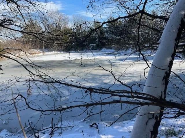 Property from 0001 W 215 Street - KW