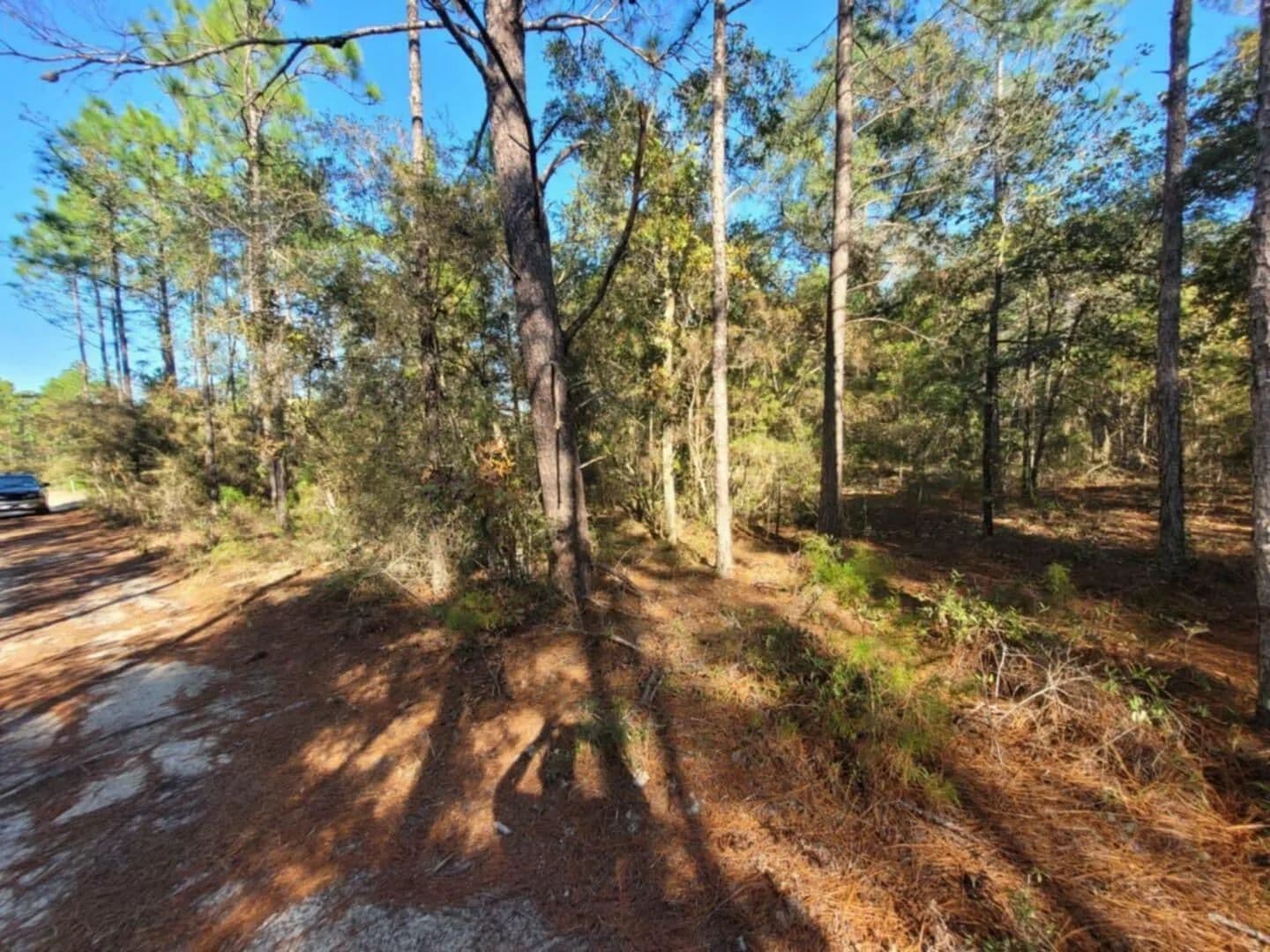 Vacant Land in DeFuniak Springs - land for sale