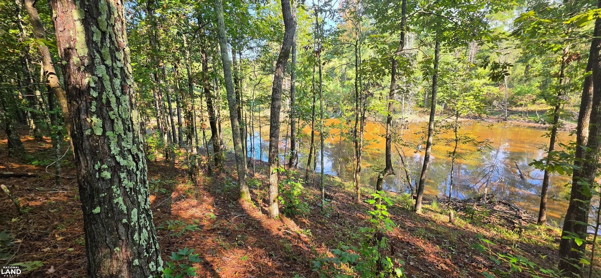 Jemison Homesite and Recreational Hunting Property - Jemison, Alabama, 35085