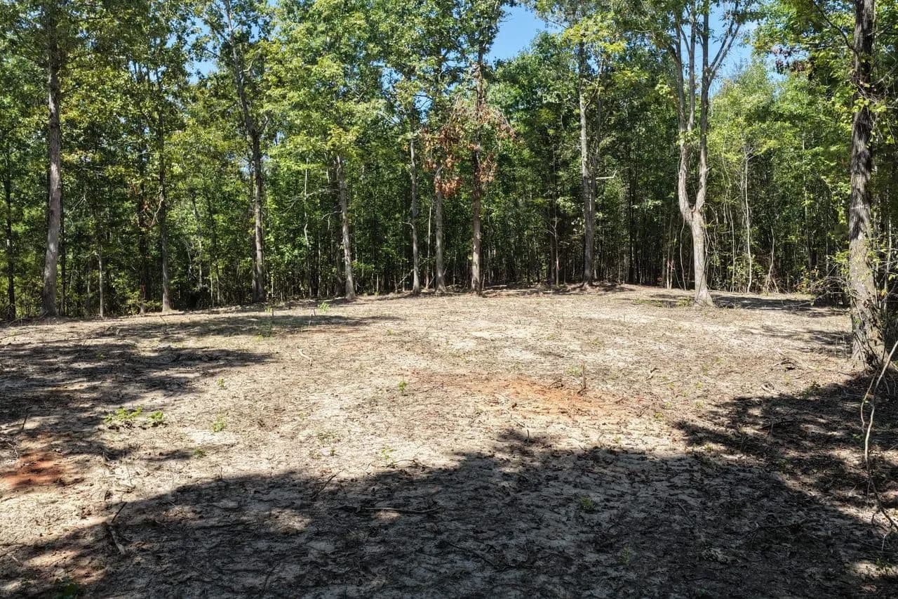 Carter Branch Lot 6 - Tishomingo, Mississippi, 38873