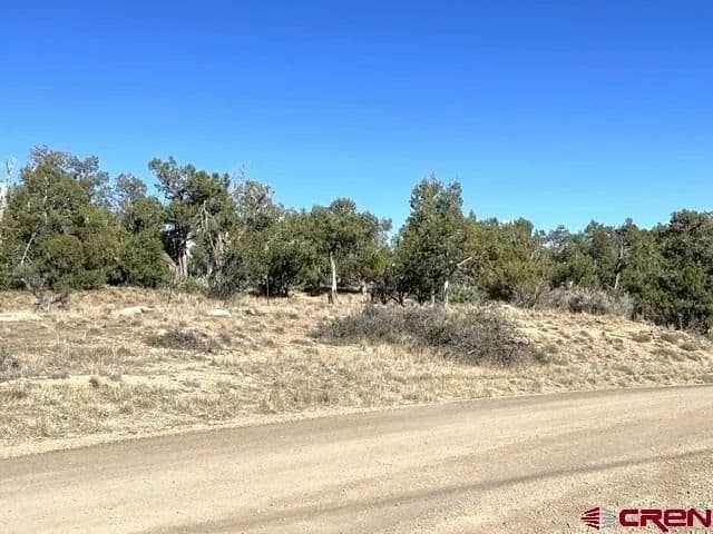 Vacant Land in Cortez - Cortez, Colorado, 81321