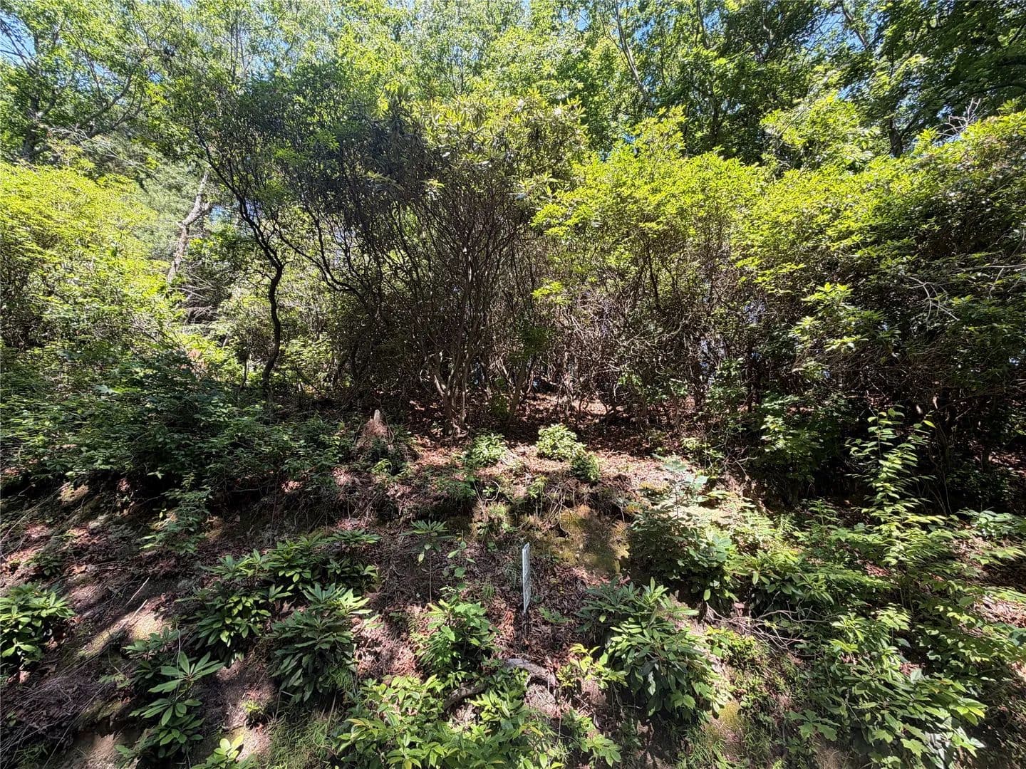 3.45 Acres of Land for Sale in Scaly Mountain, North Carolina - Scaly Mountain, North Carolina, 28775