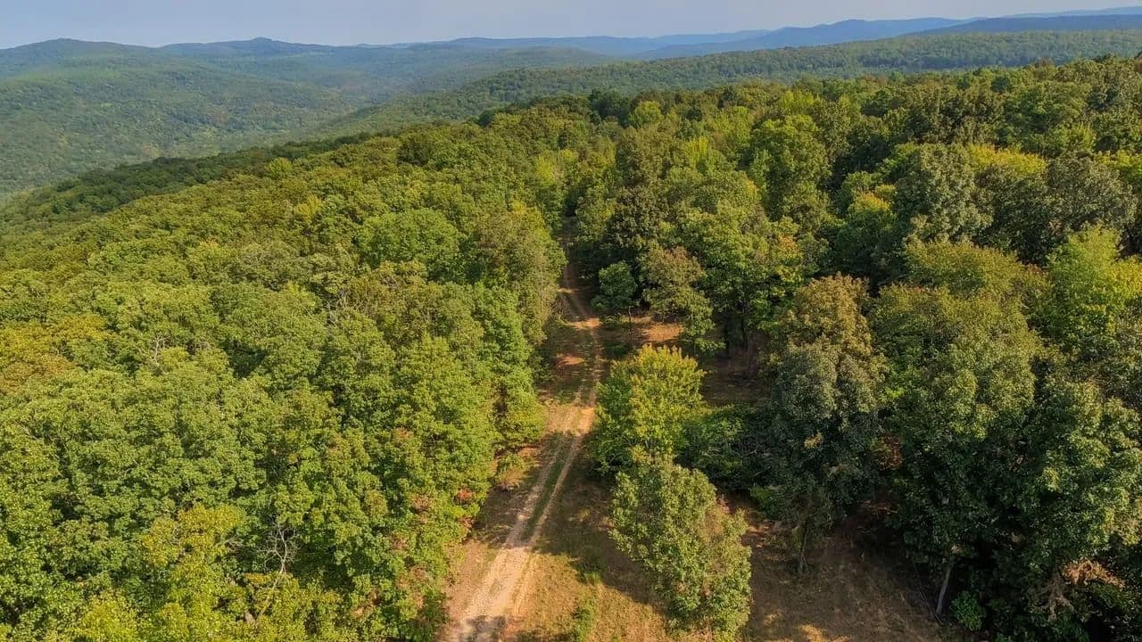 61.87± Acres — Off-Grid Hunting Camp Bordering Ozark National Forest, Oark, AR - Oark, Arkansas, 72852