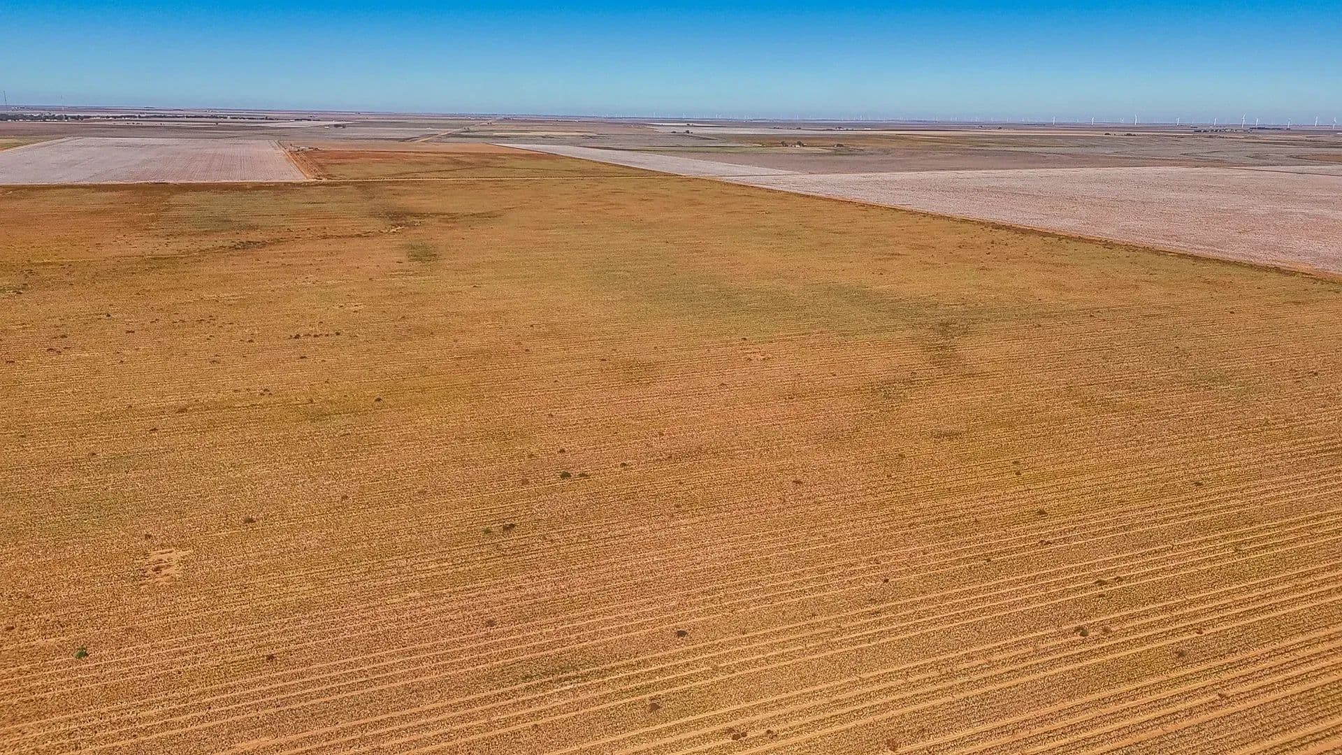 320 Acres of Land for Sale in O'Donnell, TX - O'Donnell, Texas, 79351