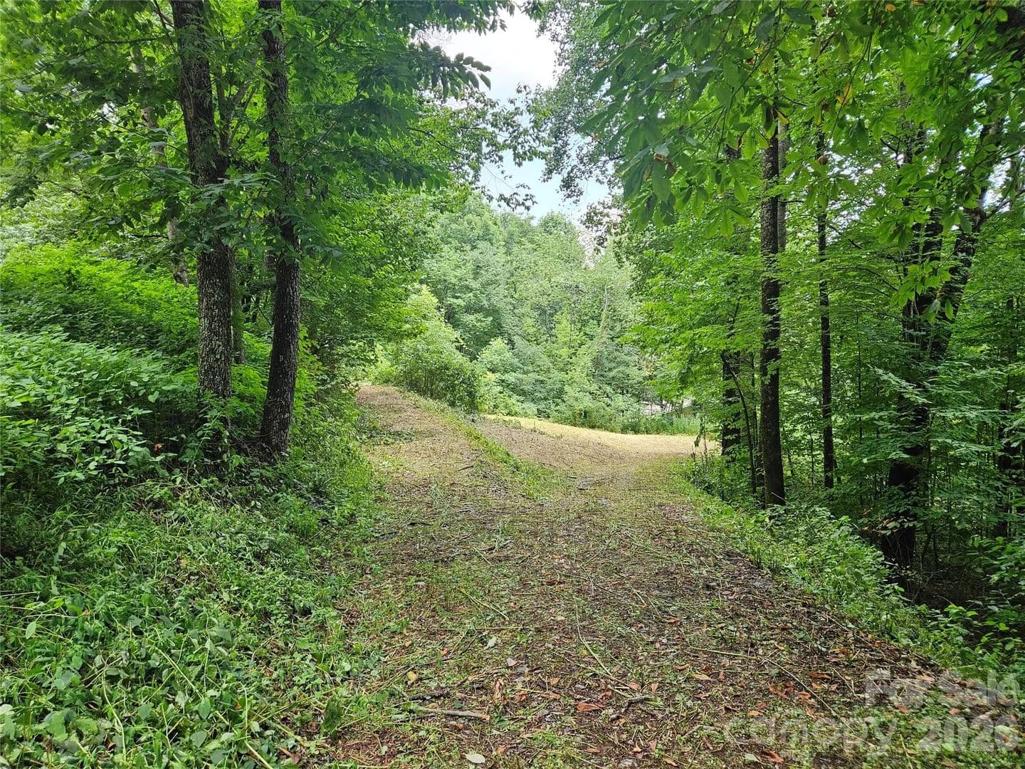 1.86 Acres of Land for Sale in Waynesville, NC - Waynesville, North Carolina, 28785