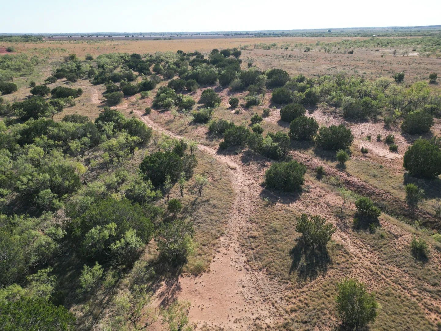 NEW LISTING!! 48.5 +/- Ac TBD CR 206 (Tr 3), Ovalo - Ovalo, Texas, 79567