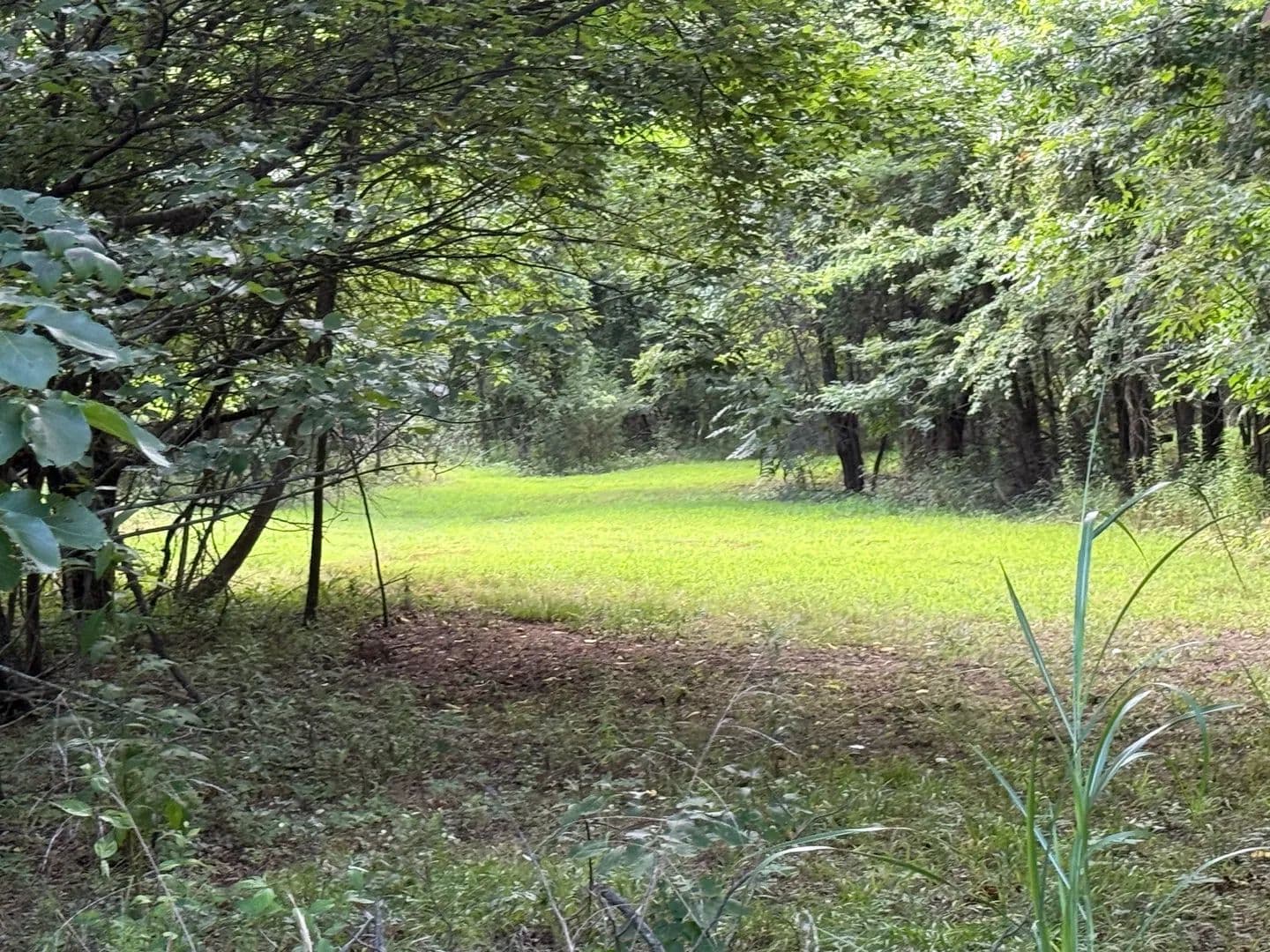 Land -Agricultural (Not Zoned) in Hartman - Hartman, Arkansas, 72840