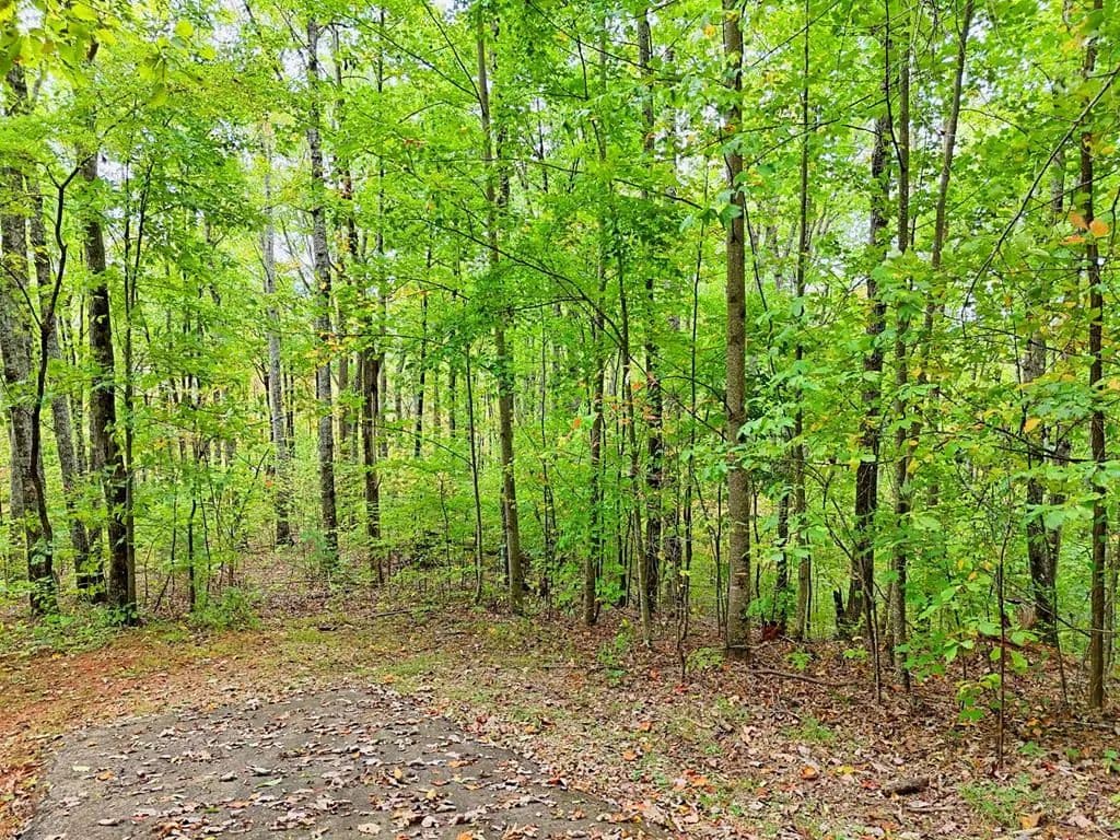 Lots & Land-Other in Hayesville - land for sale