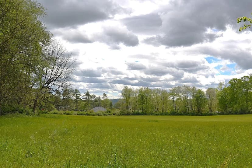 Lots & Land-Other in Frankford