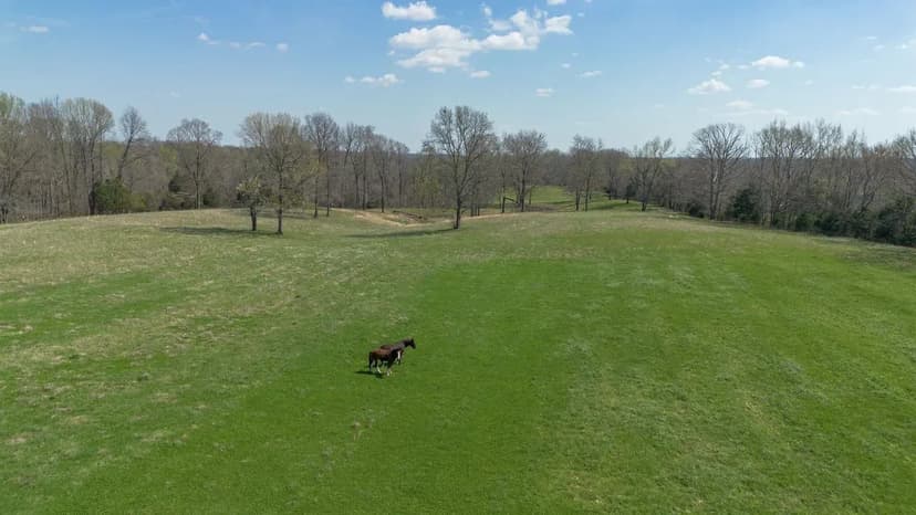 203 Acres - Excellent Hunting and Forever Home Location