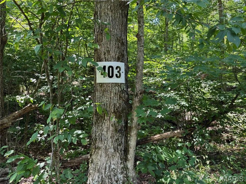Lots & Land-Other in Fredericktown - Fredericktown, Missouri, 63645