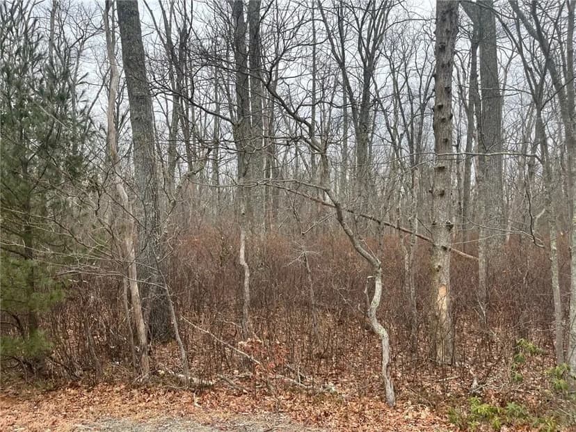 Vacant Land in Burrillville