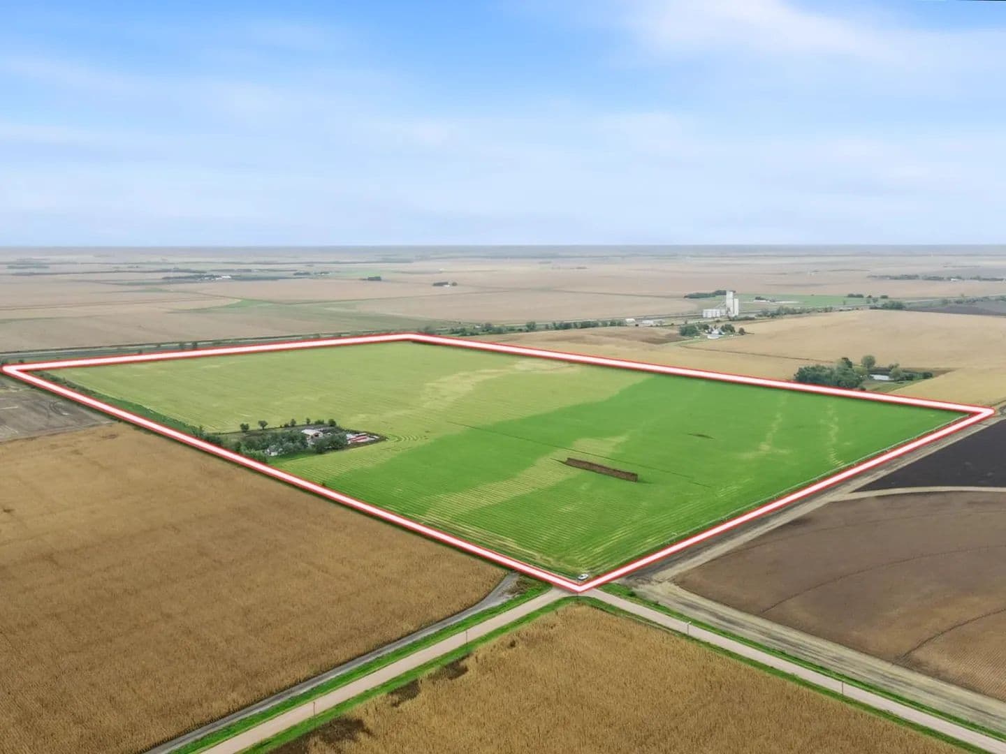 119.52± Acres – Pivot-Irrigated Cropland in Dawson County - Nebraska
