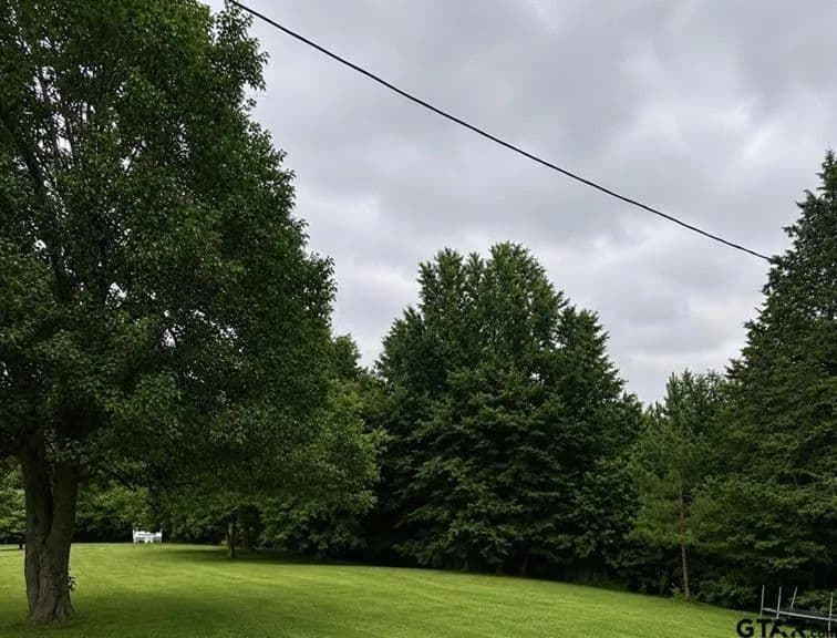 Vacant Land (10+ Acres) in Winnsboro - Winnsboro, Texas, 75764