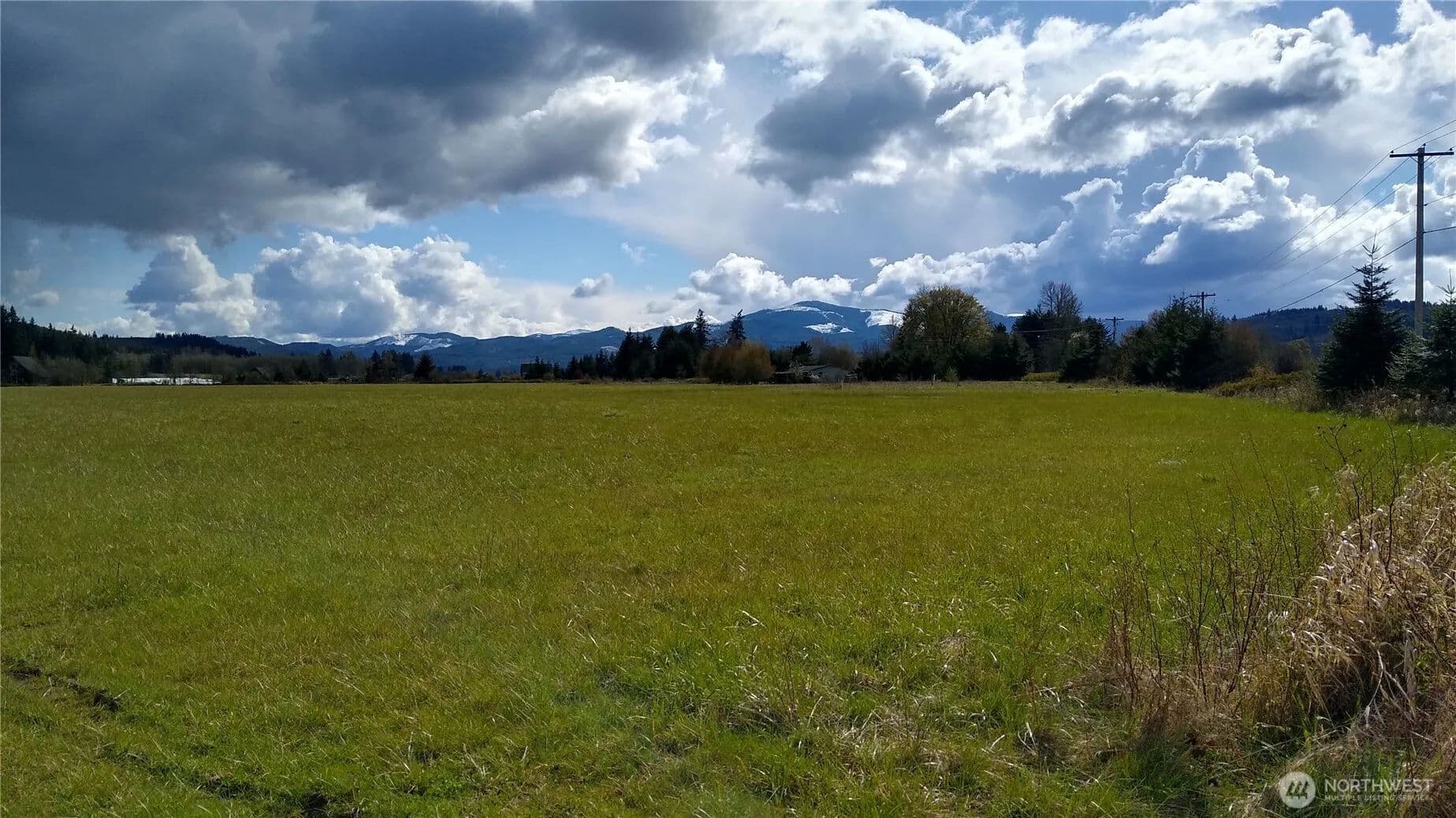 Vacant Land in Curtis - Curtis, Washington, 98538