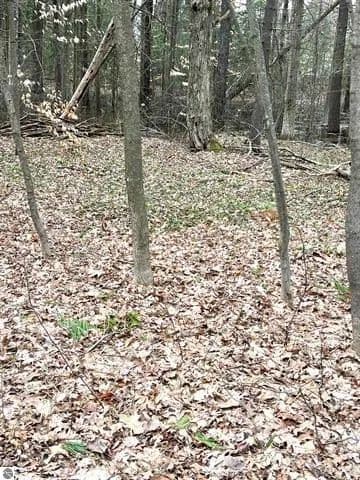 Vacant Land in Cadillac - Cadillac, Michigan, 49601
