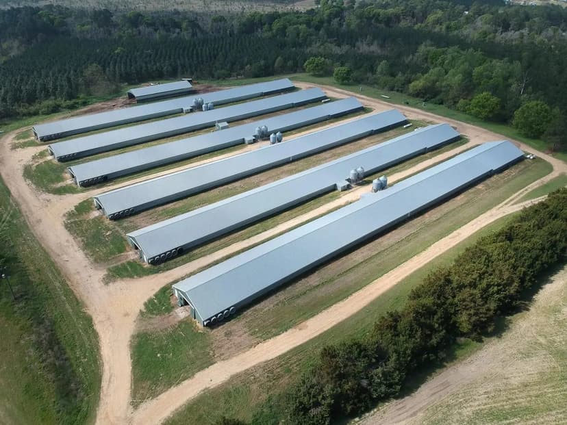 Pine Branch Broiler Farm – Six House Farm in Colquitt County, Georgia