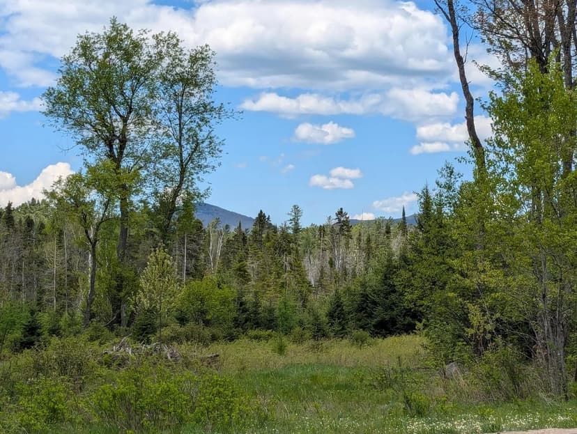 Lots & Land-Other in Rainbow Lake