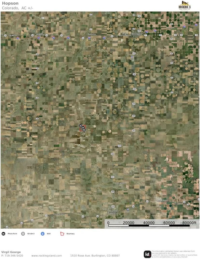 Kit Carson County Native Grass #26009