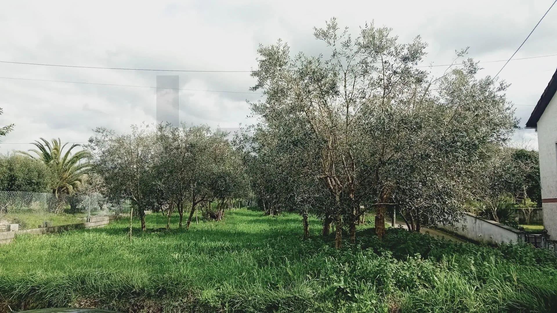 1008 Acres of Land for Sale in Soure, Soure - land for sale