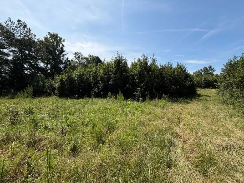 60+/-AC Clay County - Ashland, Alabama, 36251