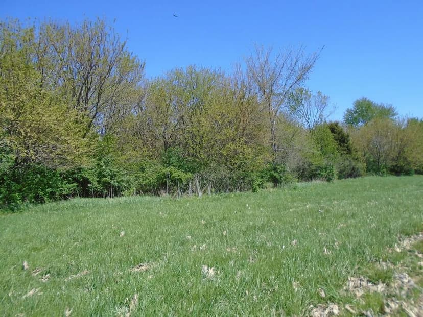 Beautiful Rural Building Site In Hendricks County