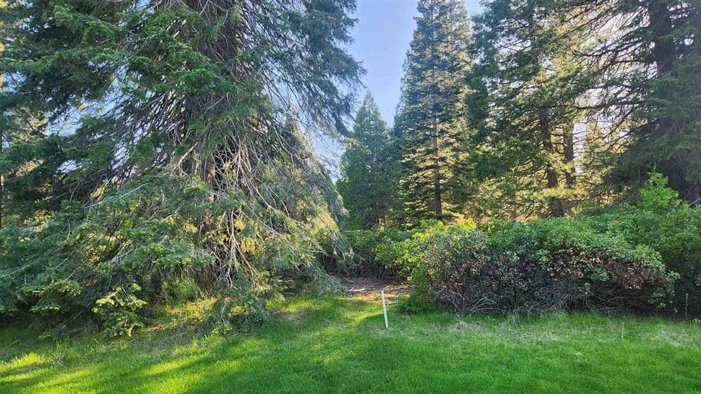Vacant Land in Lake Almanor - Lake Almanor, California, 96137