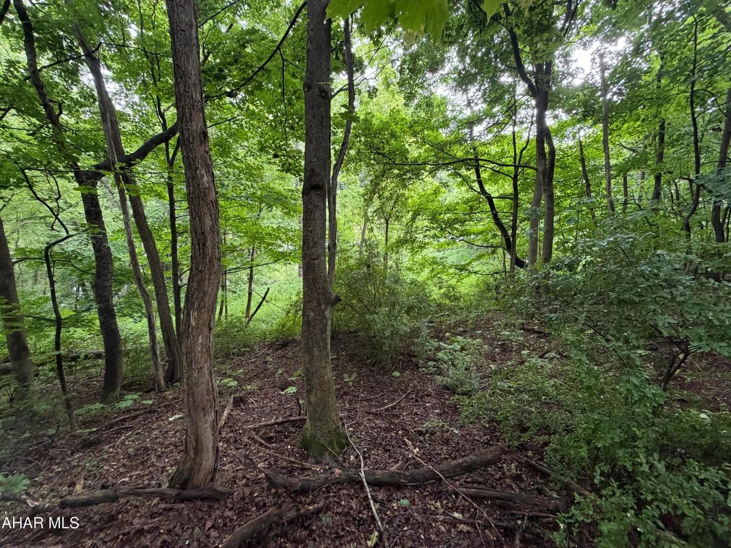 Property from 00 Monroe Street - KW - Everett, Pennsylvania, 15537