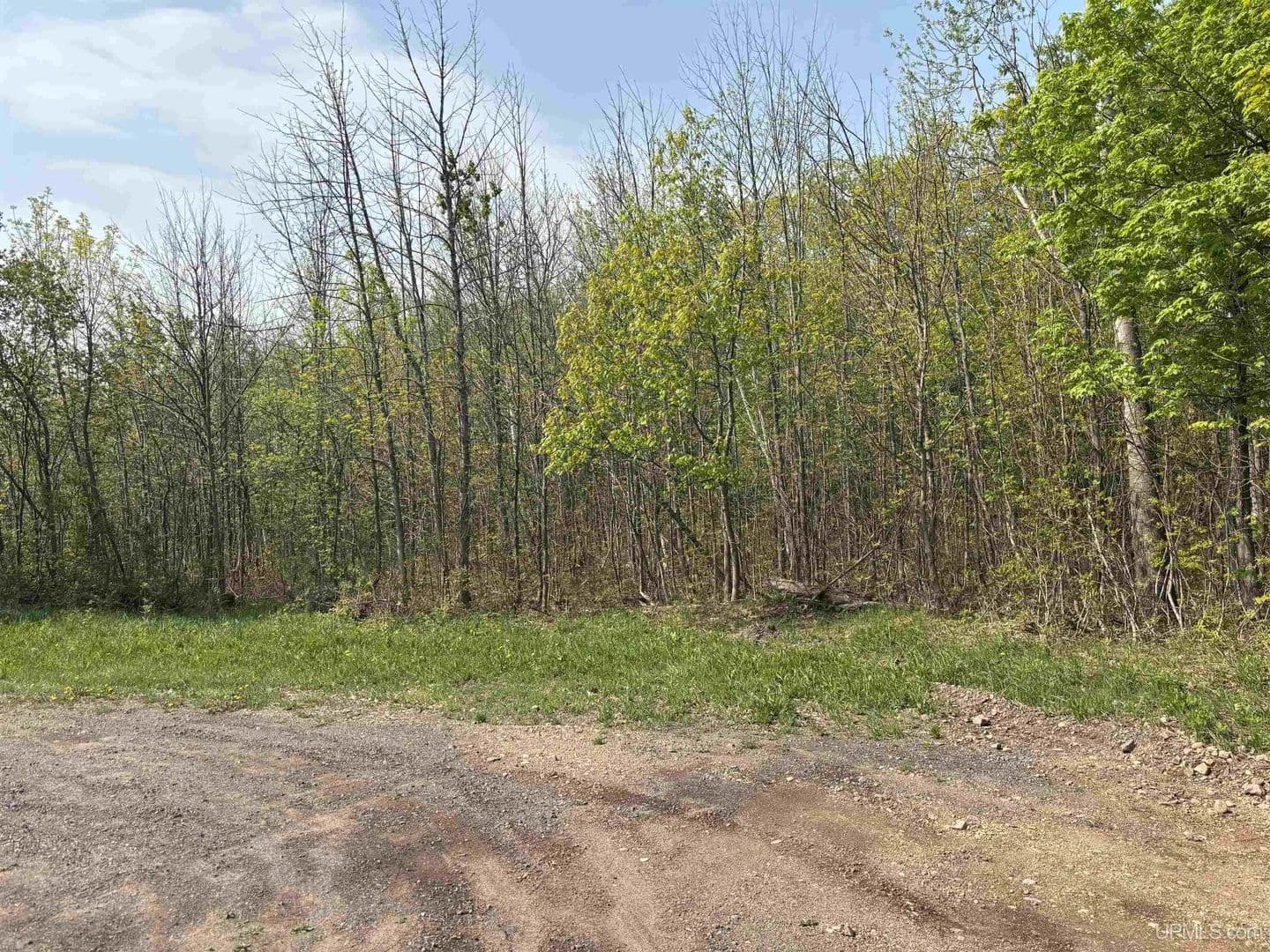 Vacant Land in Hancock - Hancock, Michigan, 49930