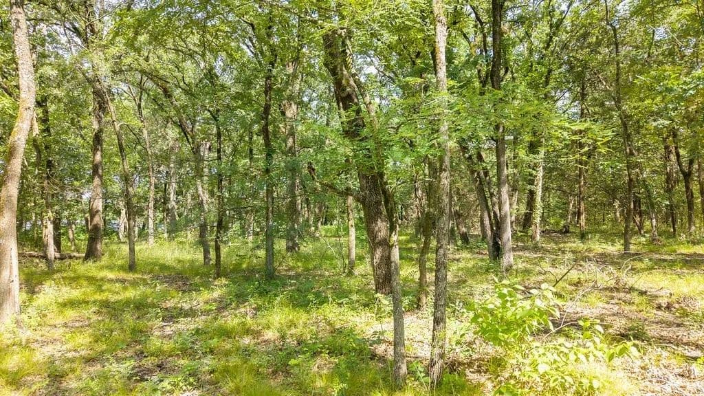 Lots & Land-Other in Bonham - Bonham, Texas, 75418