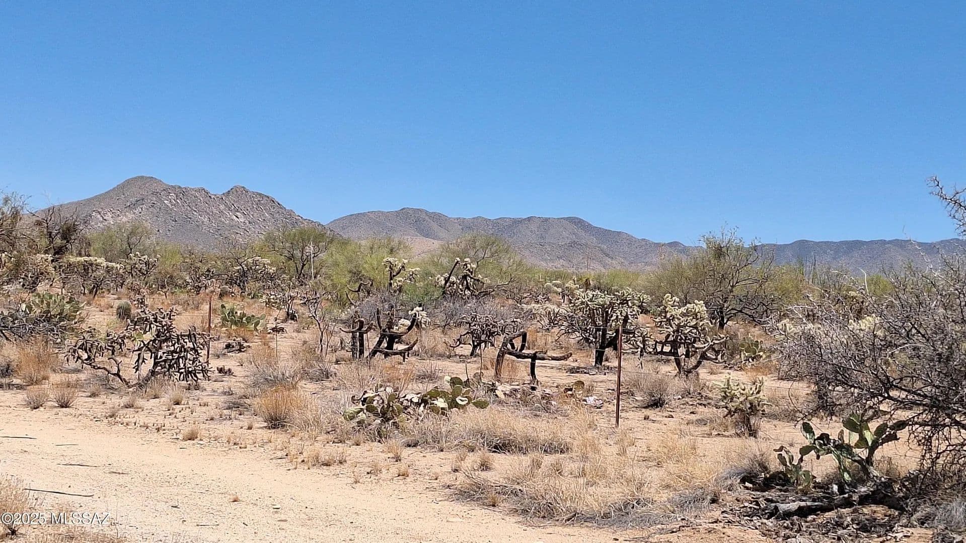 Vacant Land in Tucson - Tucson, Arizona, 85736