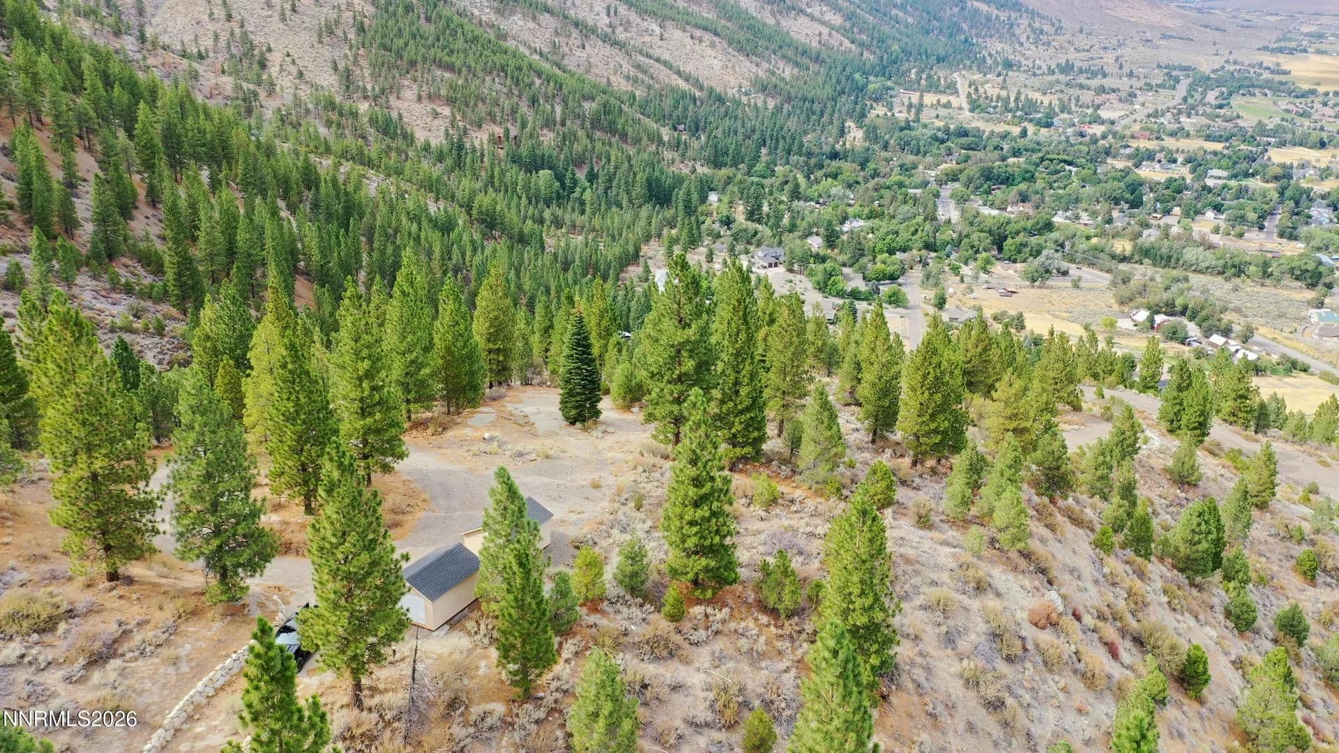 Vacant Land in Genoa - Genoa, Nevada, 89411