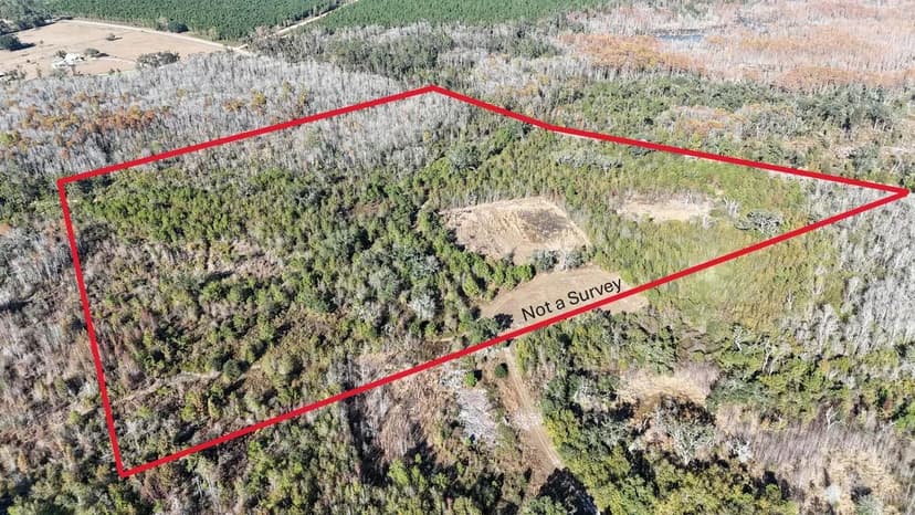 Hunter’s Paradise — 57 Acres of Prime North Florida Land in Madison, FL