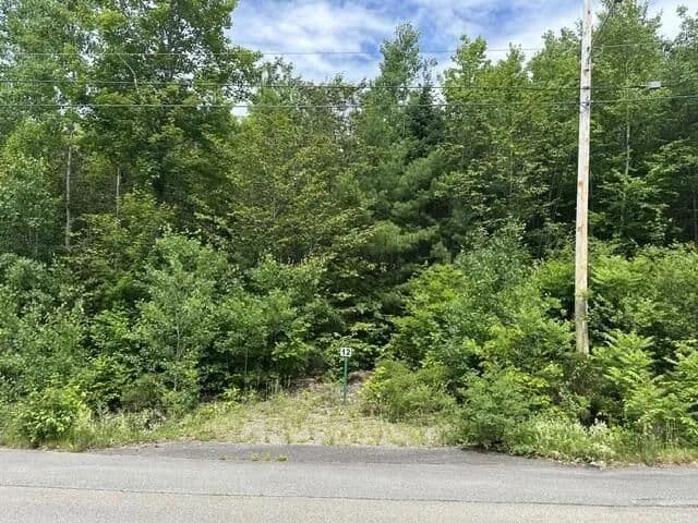 Land -Single Family Acreage in Orono - Orono, Maine, 04473