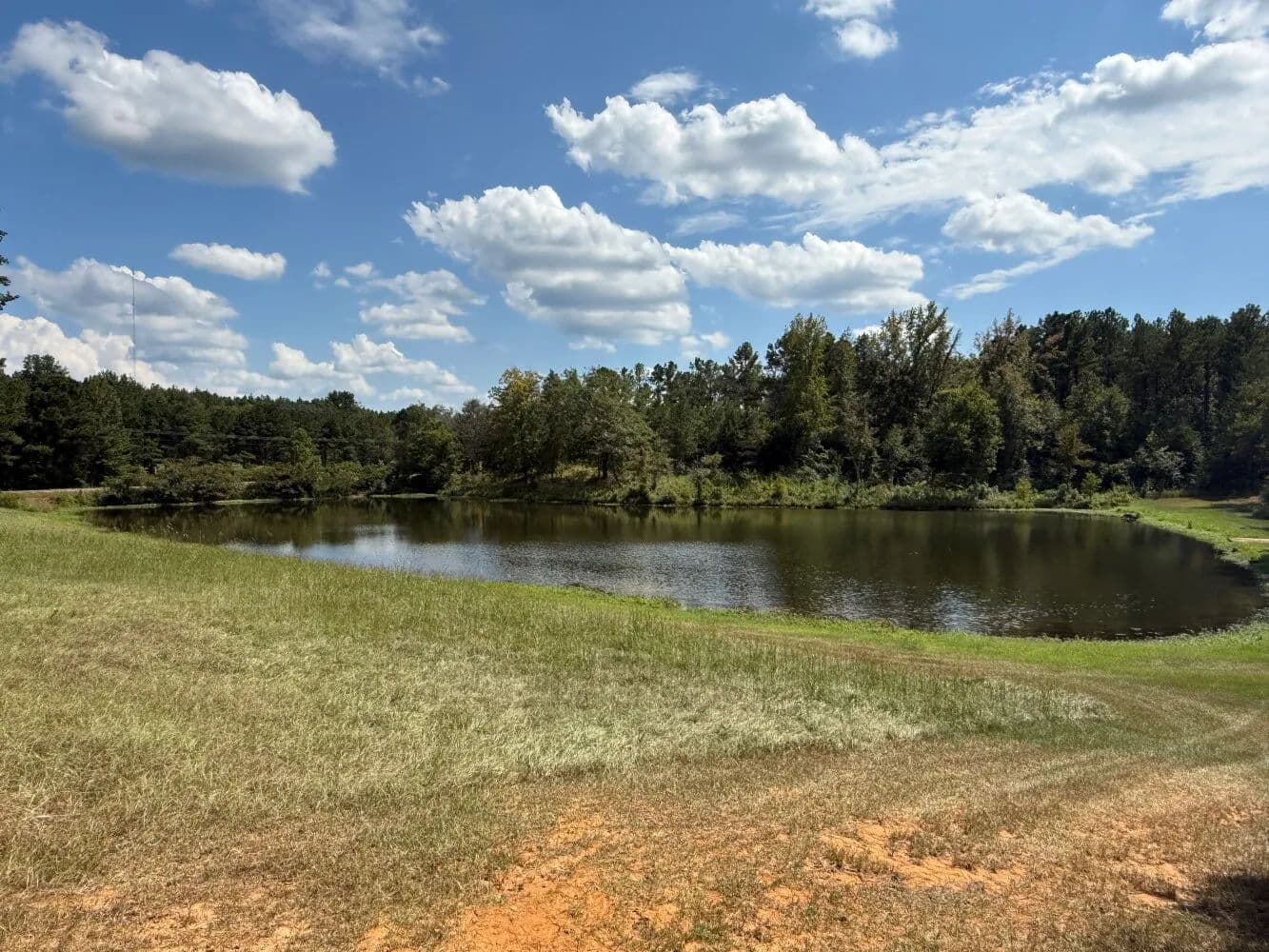 Pine Grove Mini Farm - Ethelsville, Alabama, 35461